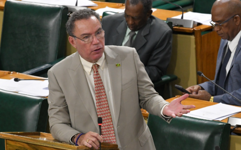 Energy Minister, Daryl Vaz reveals average Jamaican household pays extra $1,050 monthly due to electricity theft