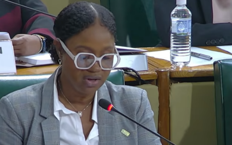 SLB says delinquency rate stood at 48.22% up to March 2026
