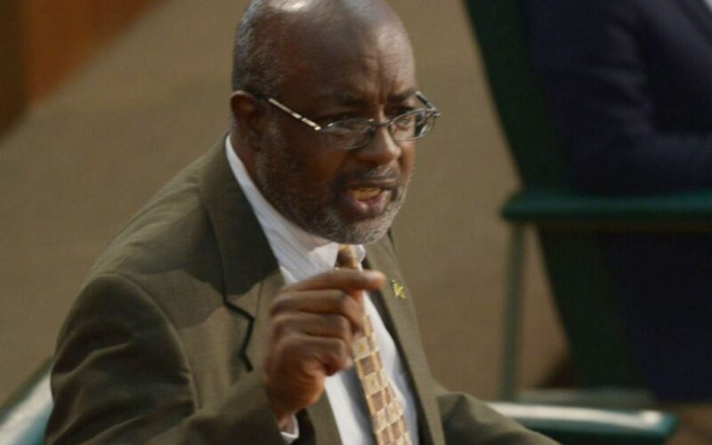 Opposition remains cautious about Jamaica’s ranking on Global Peace Index