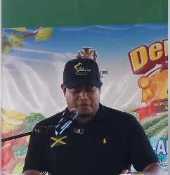 Minister Floyd Green assures fire-hit Southwest St. Elizabeth farmers of swift aid