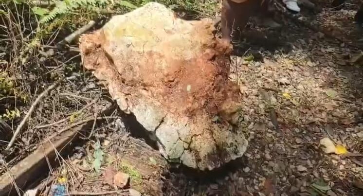Residents of Breadnut Walk, St. Elizabeth call on authorities to fix roadways after falling boulder hit three schoolchildren