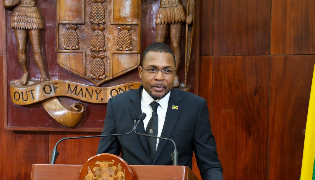 Lucea Road upgrade to improve airport travel and support tourism - Works Minister