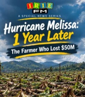 Hurricane Melissa: 1 year later - The farmer who lost $50M