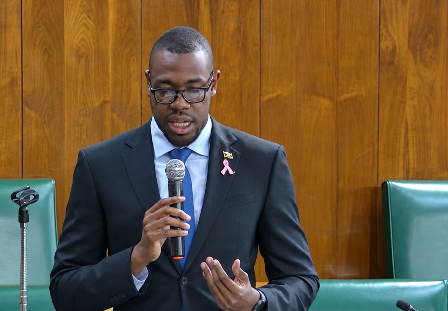 Opposition Senator calls for more time to scrutinise legislation before Parliamentary approval
