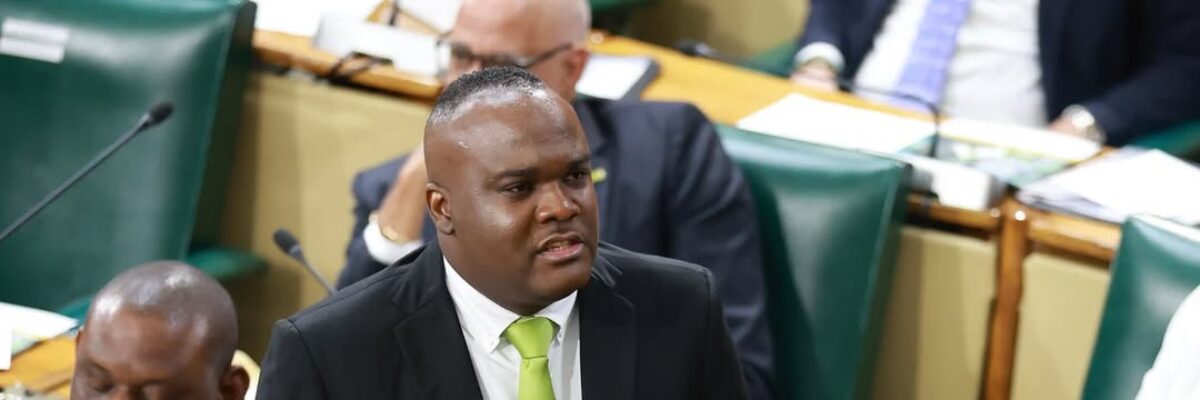 Fitz-Henley welcomes improvement in Jamaica’s Housing Quality Index