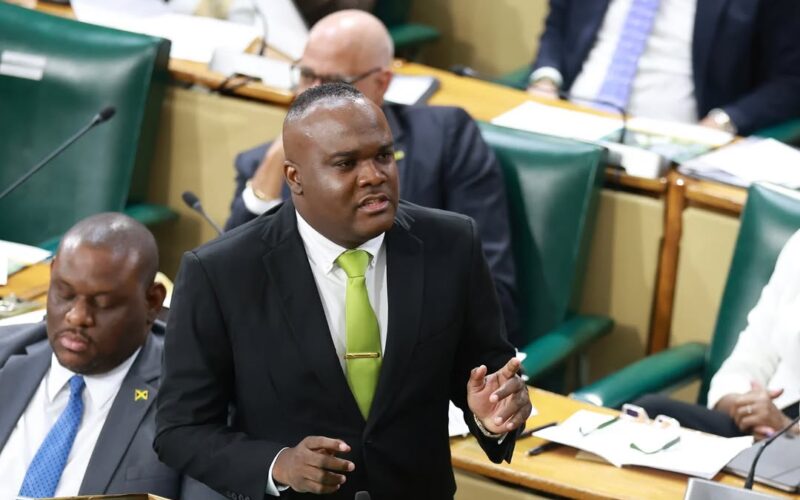 Fitz-Henley welcomes improvement in Jamaica’s Housing Quality Index