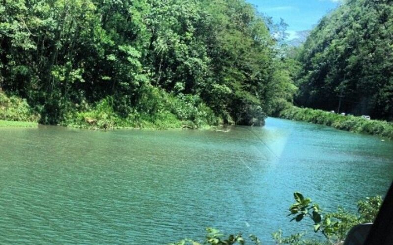 Residents of communities along the Rio Cobre stage protest calling for urgent action to be taken to stop persistent pollution of the river