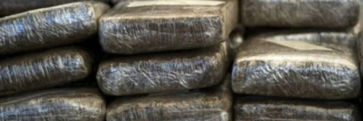 Approximately 200lbs of ganja seized in Slipe, St. Elizabeth