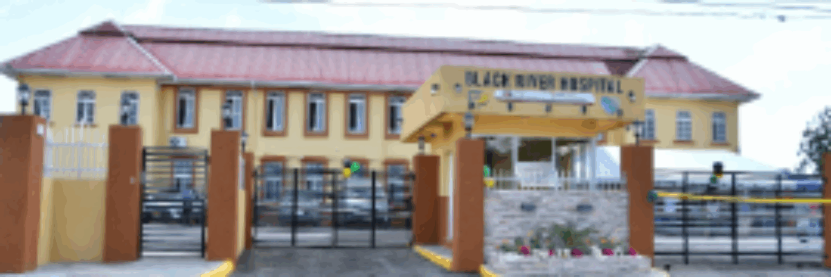 All 17 students who were injured in the Holland Bamboo crash yesterday, released from hospital