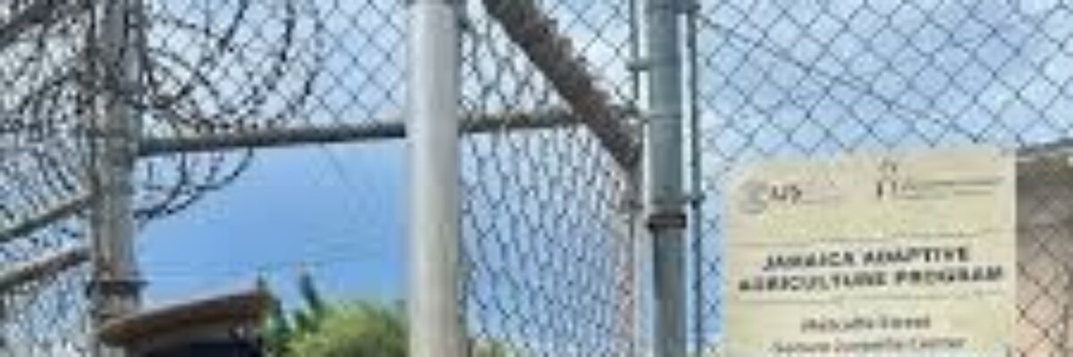 Correctional officer charged after allegedly instructing ward to slap another child, rupturing the eardrum