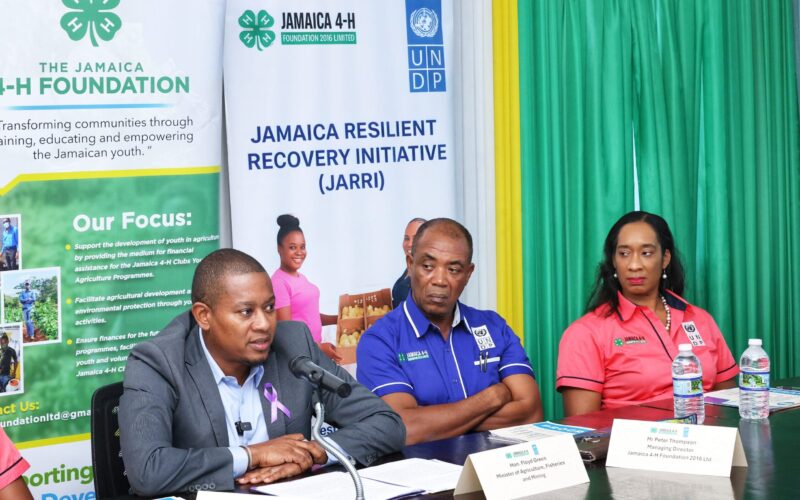 Over US$70000 allocated to support recovery of youth farmers, fisherfolk and MSMES impacted by Hurricane Melissa