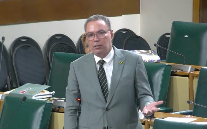 Energy Minister to double down on efforts to have JPS compensate Jamaicans and businesses impacted by major outages