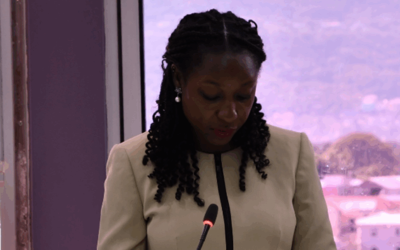 WPM Waste Management Limited outlines plans to address back-log in garbage collection in St. James