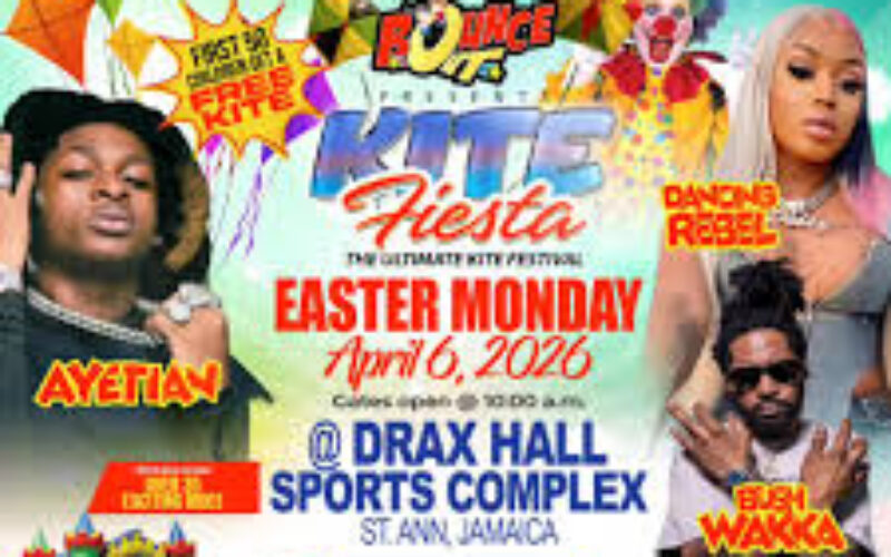 Bounce-out Kite Fiesta promoter blames scammers for Dancing Rebel’s absence at event