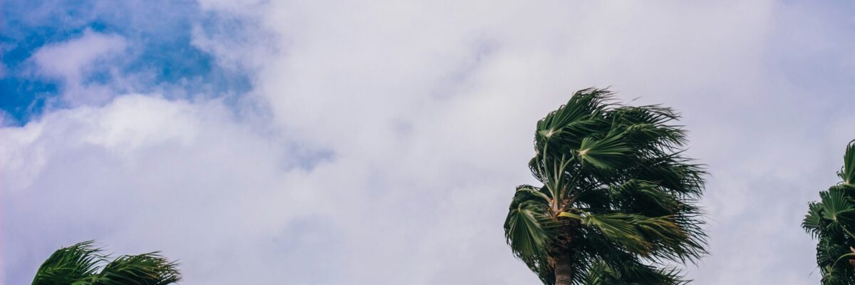 Jamaicans taking measures to manage cooler temperatures associated with strong cold front impacting the island