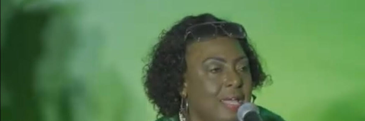 Gender Minister Olivia Grange says Jamaica Labour Party does not support abuse against women