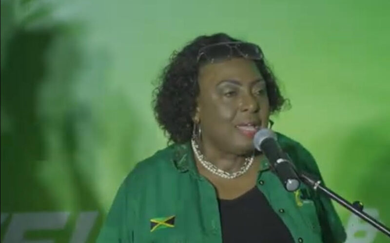 Gender Minister Olivia Grange says Jamaica Labour Party does not support abuse against women