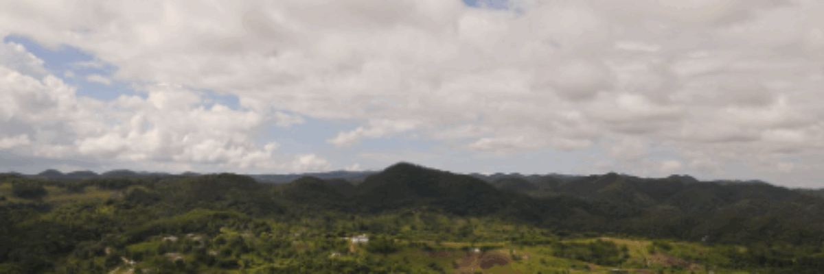 PM Holness says about 50% of Jamaica’s forest was destroyed by Hurricane Melissa