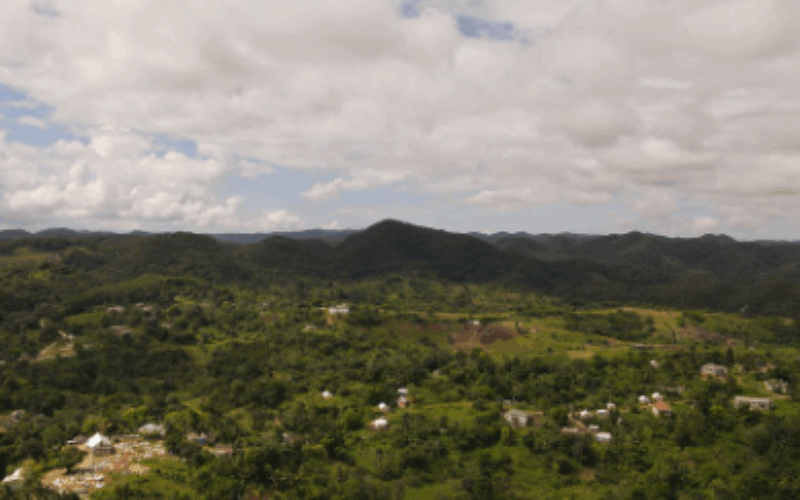 PM Holness says about 50% of Jamaica’s forest was destroyed by Hurricane Melissa