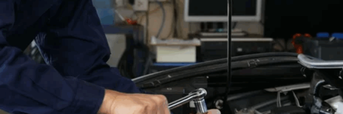 Labour Ministry launches investigation into the operations of Chinese operated car service company in St. Andrew