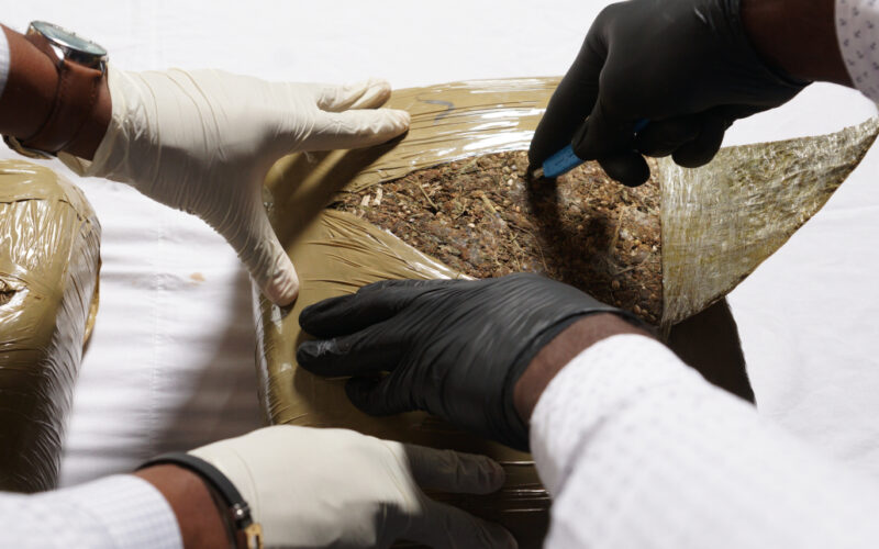 “Jamaica’s borders are not easy targets.” Customs Agency intensifying efforts to stop movement of illicit drugs