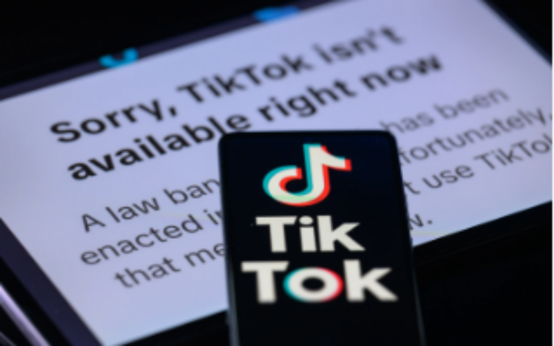 A new U.S. law banning TikTok comes into effect, hours after the popular app stopped working across the country