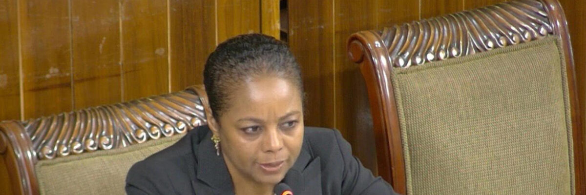 Parliament’s Ethics Committee Chair Marlene Malahoo Forte cautions against partisan approach towards work being undertaken