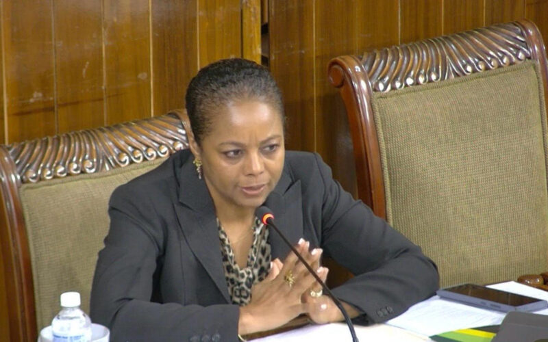 Parliament’s Ethics Committee Chair Marlene Malahoo Forte cautions against partisan approach towards work being undertaken