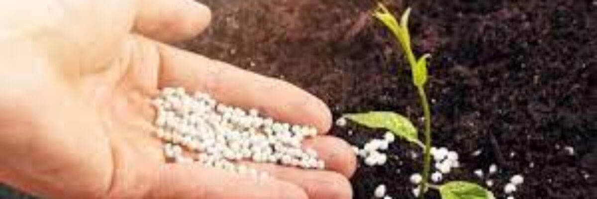 Audit of RADA’s fertiliser distribution system found to have glaring deficiencies;  no confirmation that fertiliser allocated to MPs  reached farmers