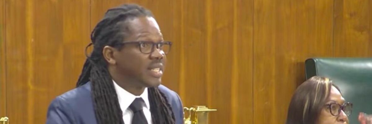 Crawford files constitutional challenge against Gov’t over pre-primary tuition