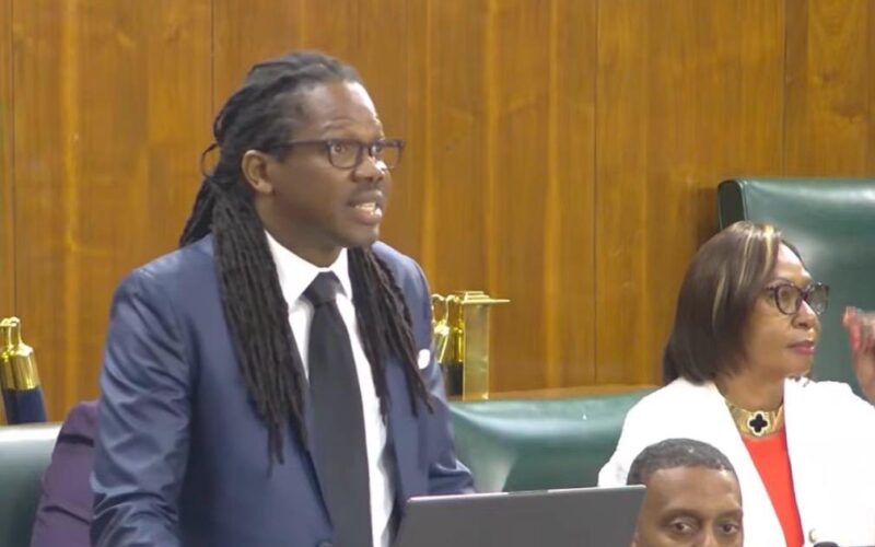 Crawford files constitutional challenge against Gov’t over pre-primary tuition