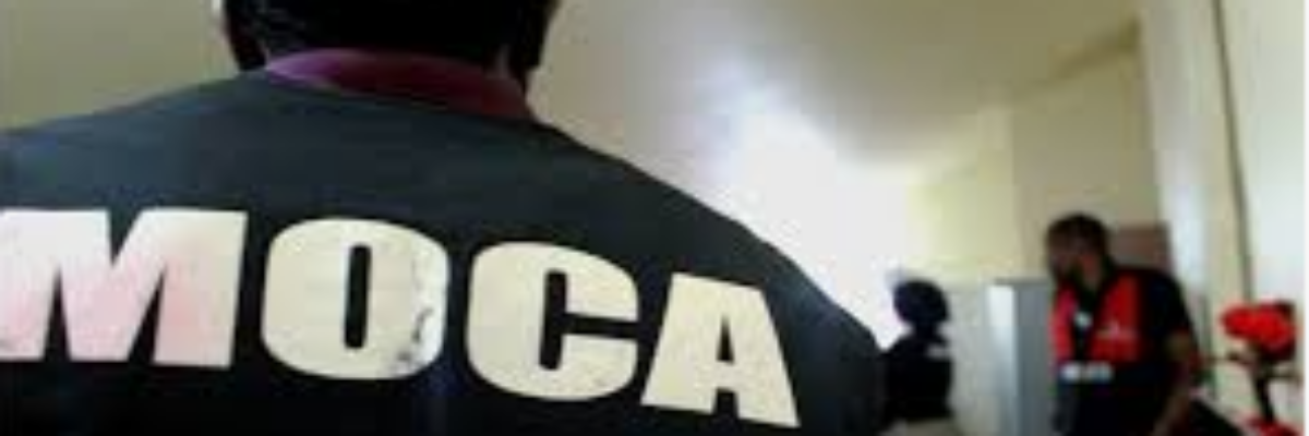 MOCA says 8 arrests made in targetted operations in Kingston and Clarendon within the past 24 hours