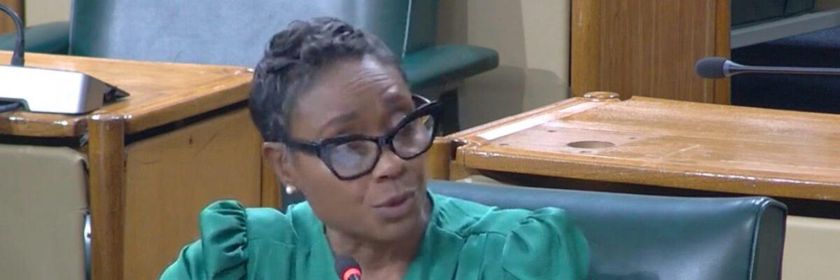 Ethics Committee member suggests Integrity Commission’s Leadership Commitment Document for Code of Conduct is unnecessary