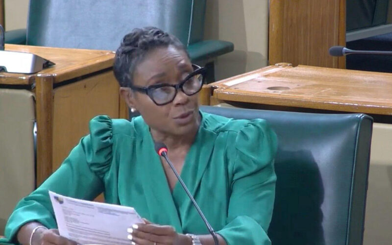 Ethics Committee member suggests Integrity Commission’s Leadership Commitment Document for Code of Conduct is unnecessary