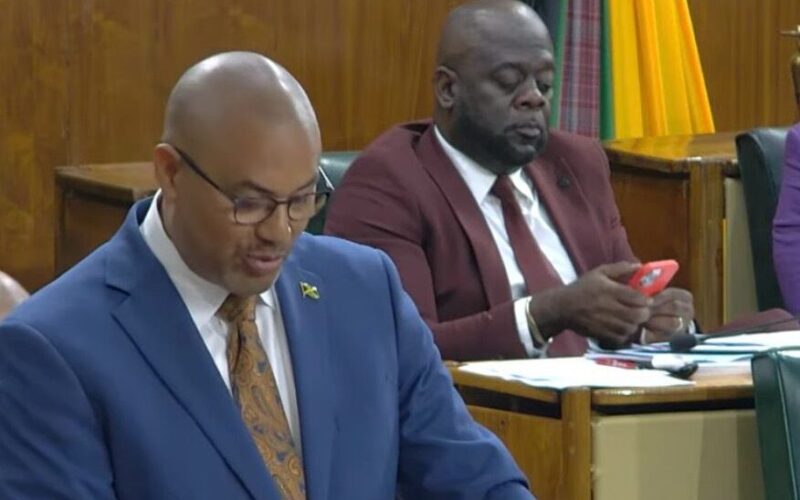 Opposition Spokesperson on Transport Mikeal Phillips says JUTC is in its most pathetic state since establishment