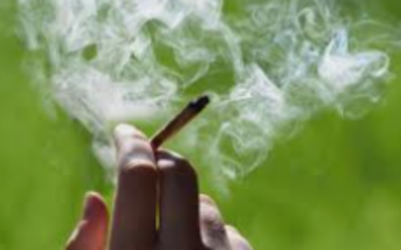 Study finds that more people who smoked ganja in 2023 are at high risk for dependence