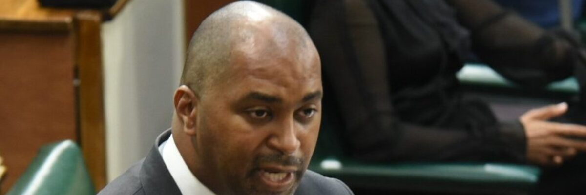 Opposition calls on Government to cap ad valorem tax on petroleum products as global energy crisis looms