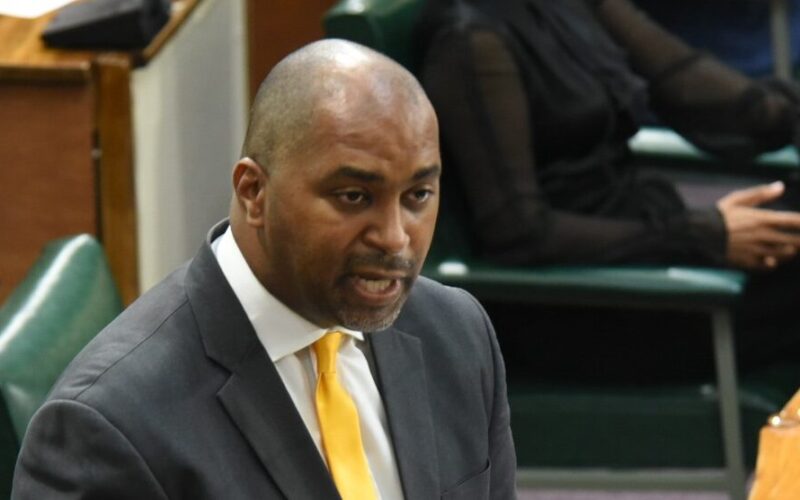 Opposition calls on Government to cap ad valorem tax on petroleum products as global energy crisis looms