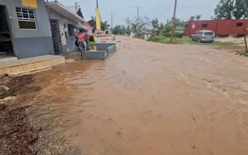 MP Zuleika Jess holding talks with relevant authorities to address flooding in Santa Cruz