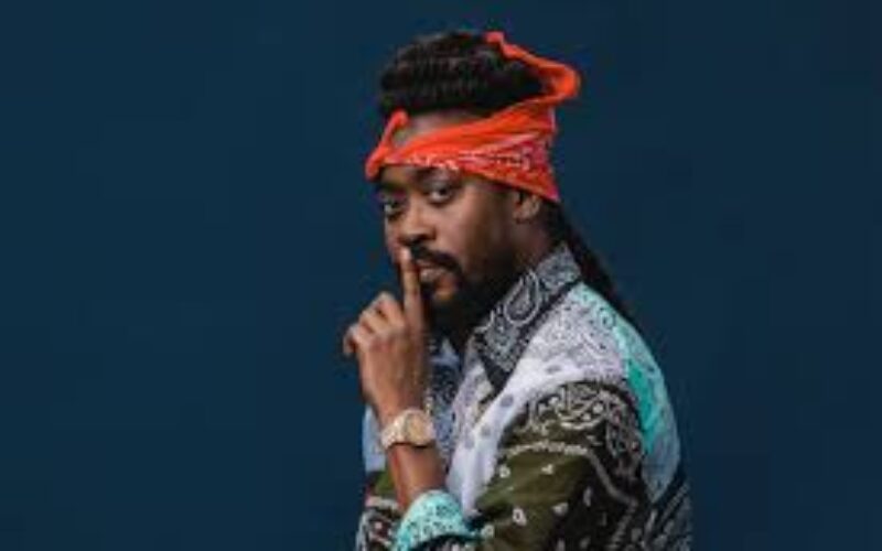 Beenie Man shares update on basic school project