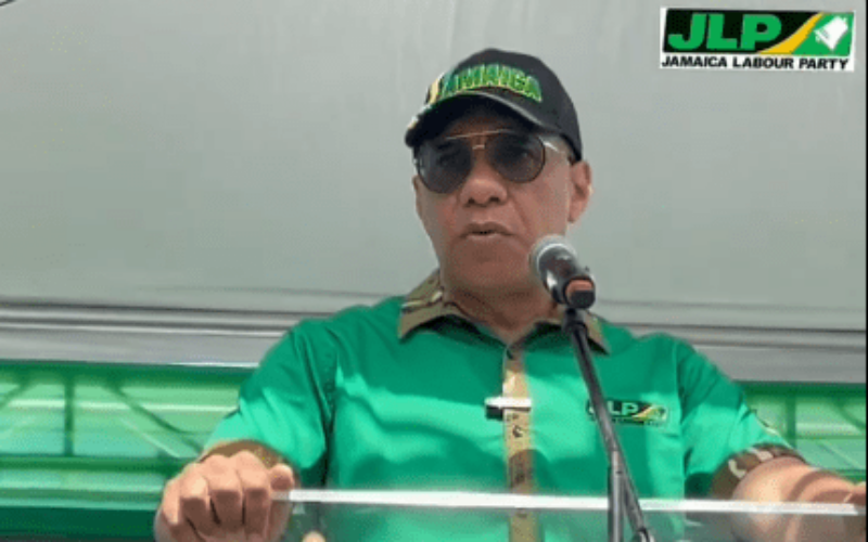 Holness says JLP will examine how well its representatives are performing