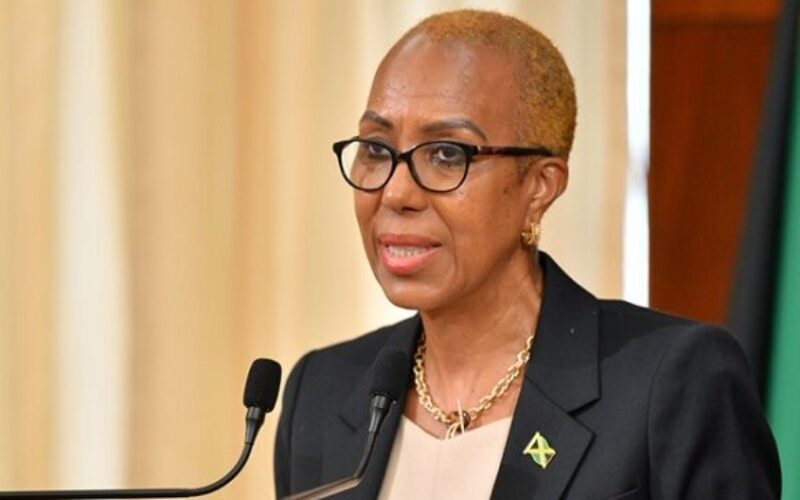 Finance and Public Service Minister Fayval Williams says business continuity must be the priority of all public sector entities