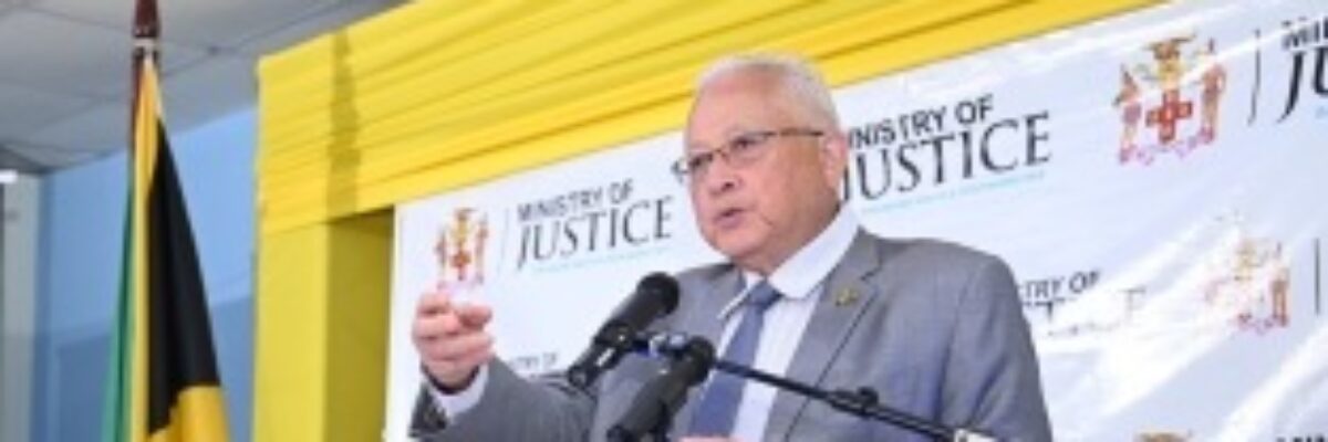 Justice Minister explains that under the law reasonable force by police includes deadly force  