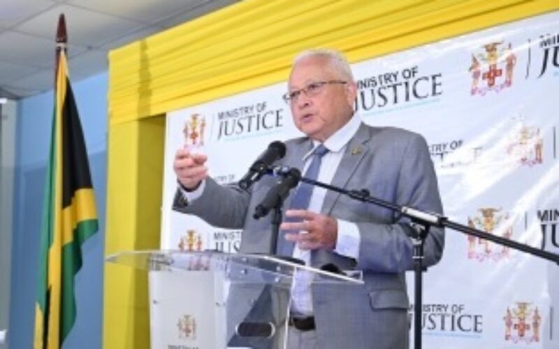 Justice minister explains that under the law reasonable force by police includes deadly force  
