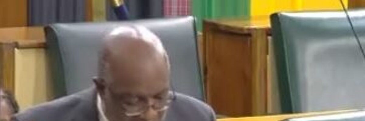 Jackson pledges that next PNP government will accelerate use of body cameras by police
