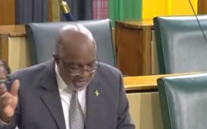 Jackson pledges that next PNP government will accelerate use of body cameras by police