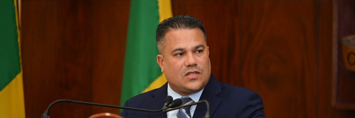 Gov’t actively pursuing over US$300M in international grant funding to support several climate-resilient projects