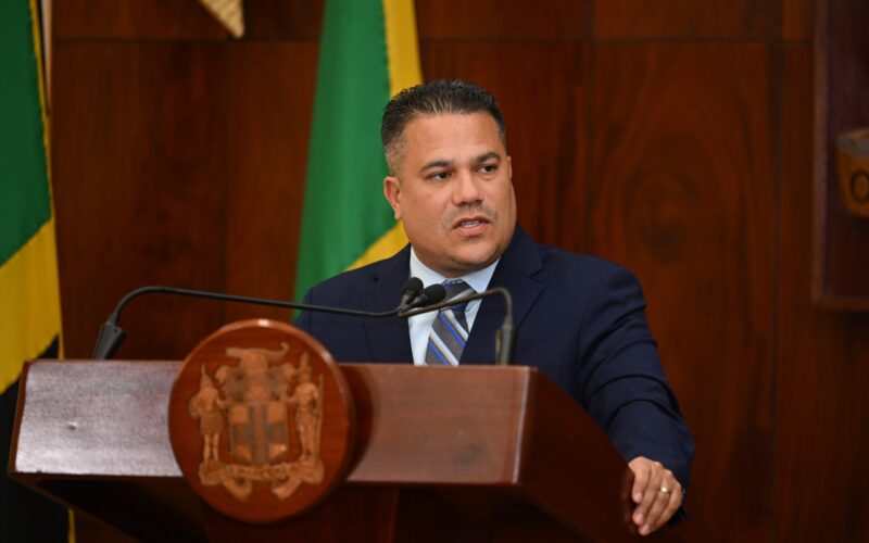 Gov’t actively pursuing over US$300M in international grant funding to support several climate-resilient projects