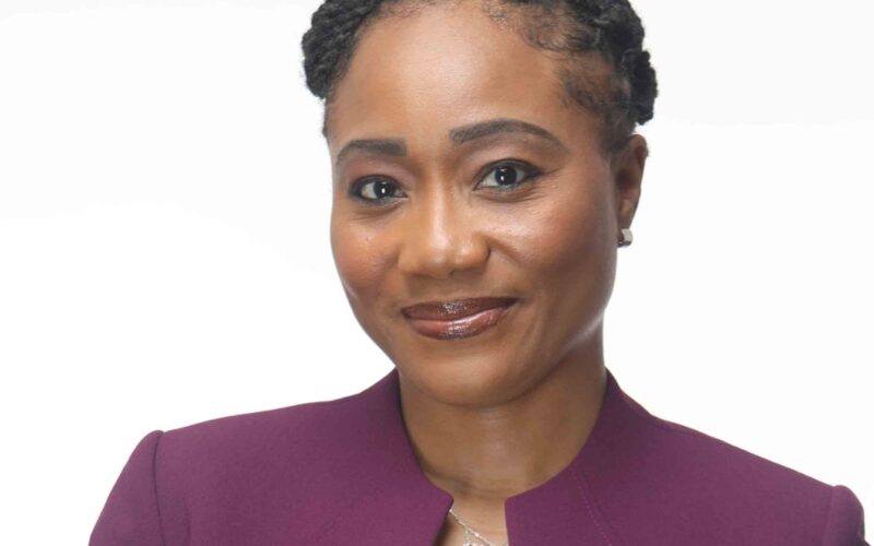 NIA criticises decision to remove Auditor General from Integrity Commission