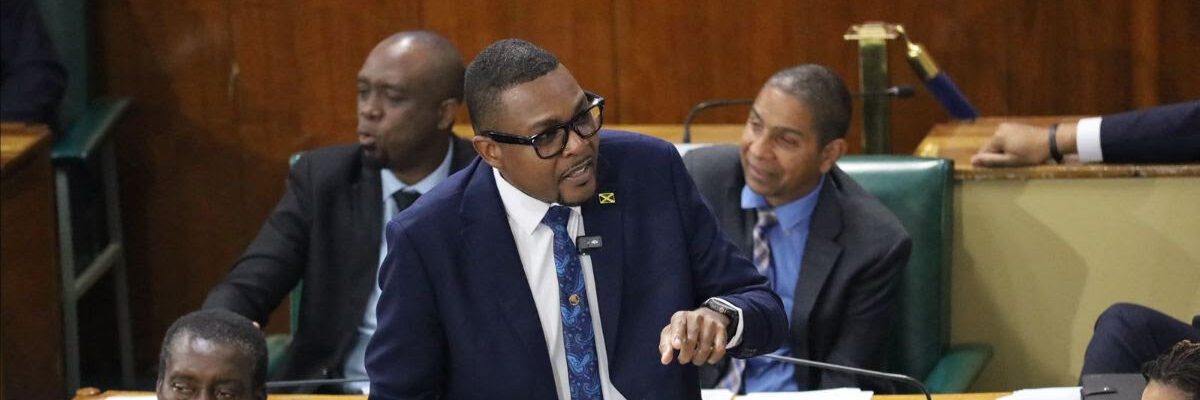 Works Minister says Jamaican Road Register to improve accountability coming soon